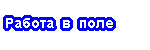 ������ � ���� � ���������